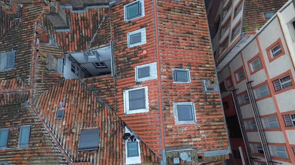 Pose de velux avec étanchéité toiture par une entreprise agréée à toulouse 31